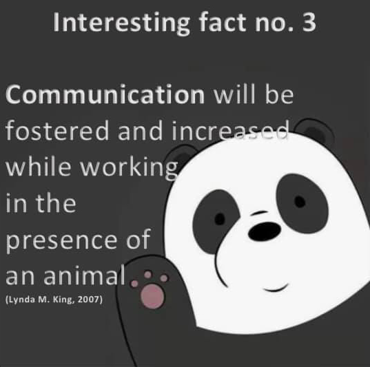 interesting fact new3